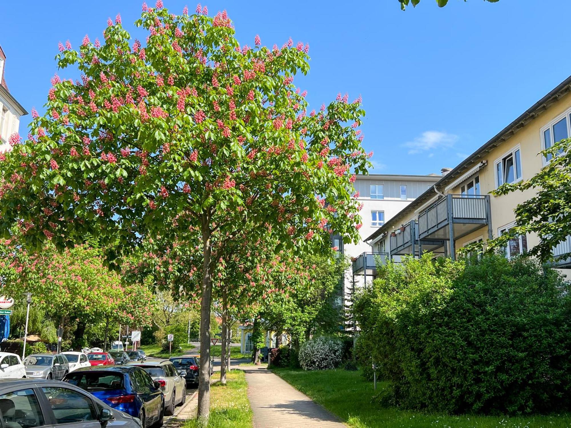 New-York Appartment, 2 Zimmer, Zentral Naehe Bahnhof Wilhelmshoehe Kassel Luaran gambar
